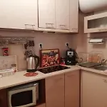 Διαμέρισμα Loft Apartment-rose