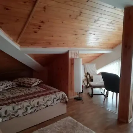 Apartment Loft Apartment-rose Sliven