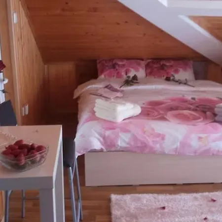 Loft Apartment-rose 아파트