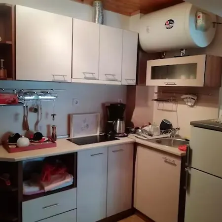 아파트 Loft Apartment-rose Sliven