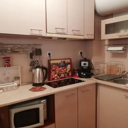Apartment Loft Apartment-rose