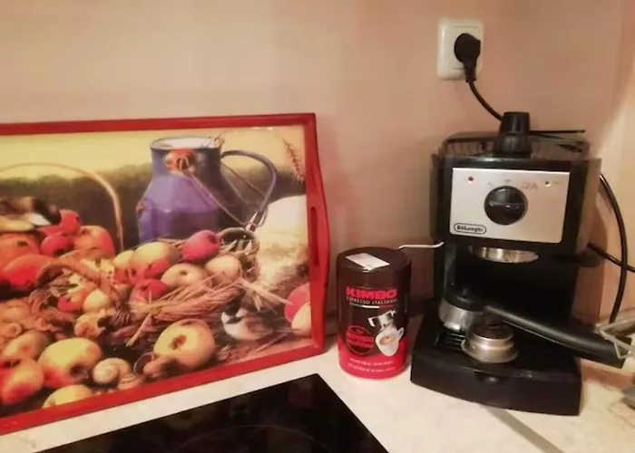 Loft Apartment-rose דירה Sliven