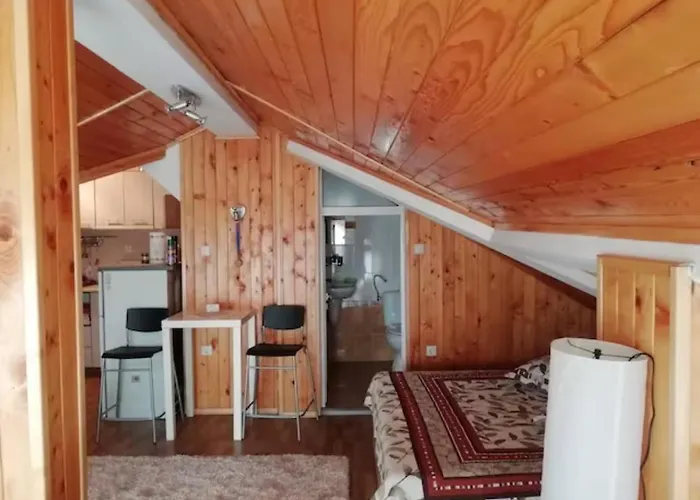 Loft Apartment-rose דירה Sliven